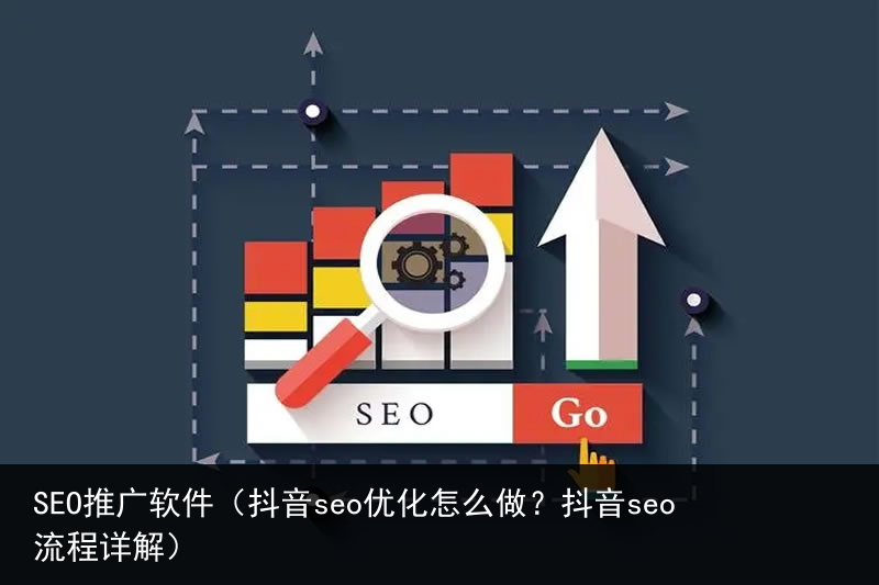 SEO推广软件（抖音seo优化怎么做？抖音seo流程详解）(图2)