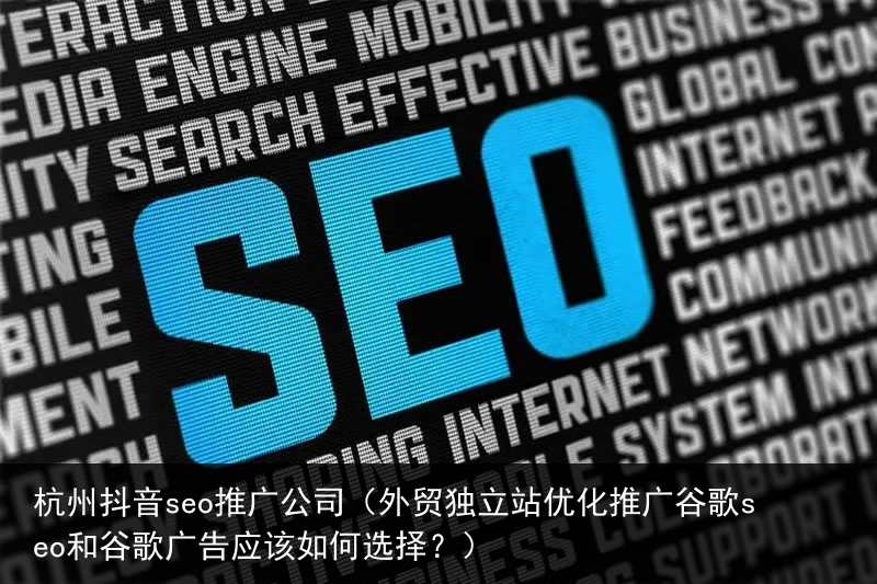 杭州抖音seo推广公司（外贸独立站优化推广谷歌seo和谷歌广告应该如何选择？）(图1)