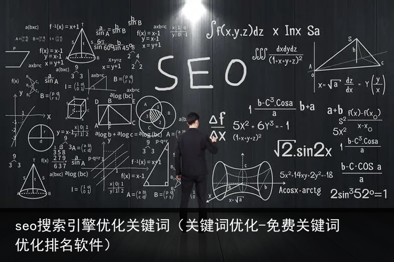 seo搜索引擎优化关键词（关键词优化-免费关键词优化排名软件）(图5)