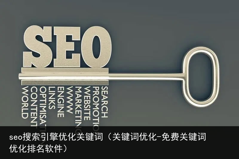 seo搜索引擎优化关键词（关键词优化-免费关键词优化排名软件）(图8)