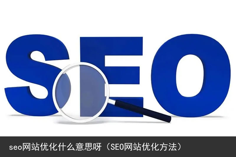seo网站优化什么意思呀（SEO网站优化方法）(图2)