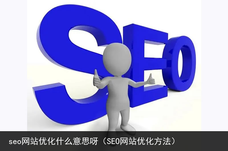 seo网站优化什么意思呀（SEO网站优化方法）(图3)