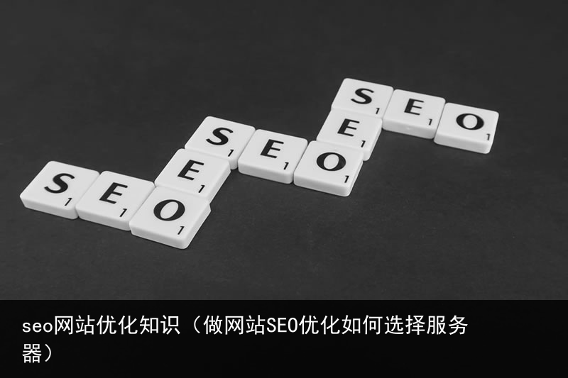 seo网站优化知识（做网站SEO优化如何选择服务器）(图1)