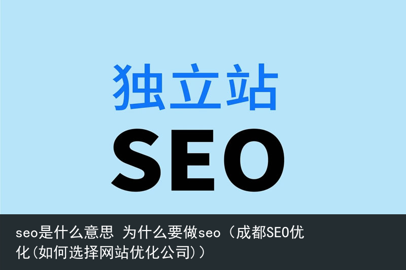seo是什么意思 为什么要做seo（成都SEO优化(如何选择网站优化公司)）(图1)