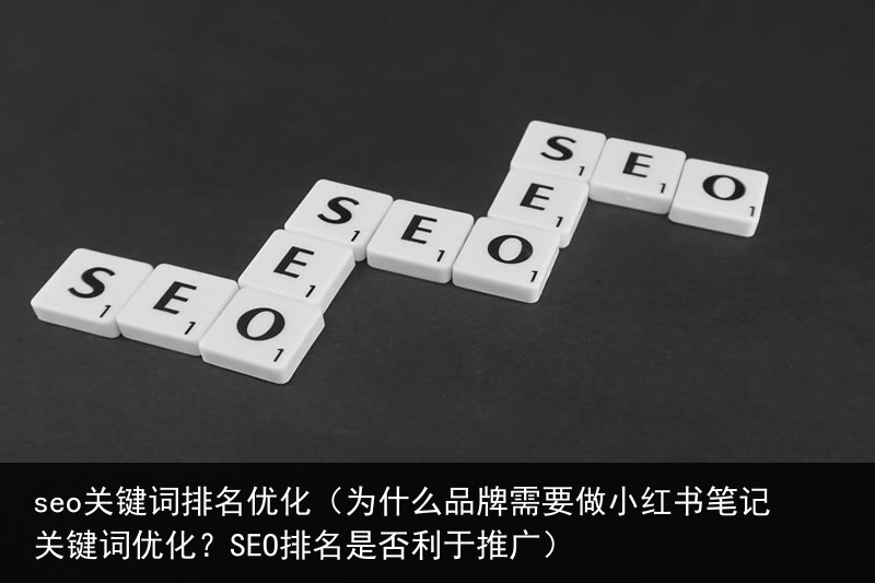 seo关键词排名优化（为什么品牌需要做小红书笔记关键词优化？SEO排名是否利于推广）(图3)