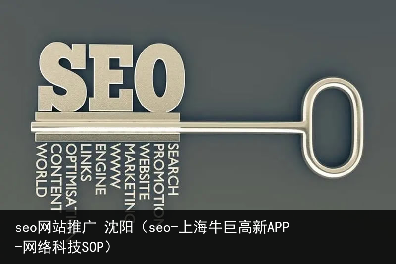 seo网站推广 沈阳（seo-上海牛巨高新APP-网络科技SOP）(图1)