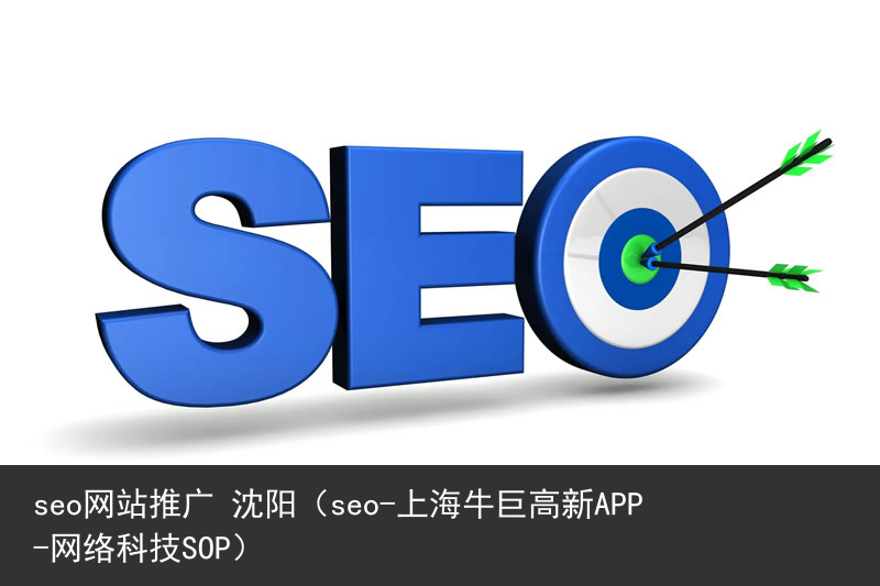 seo网站推广 沈阳（seo-上海牛巨高新APP-网络科技SOP）(图3)