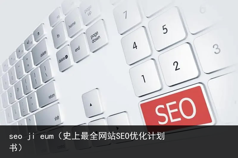 seo ji eum（史上最全网站SEO优化计划书）(图3)