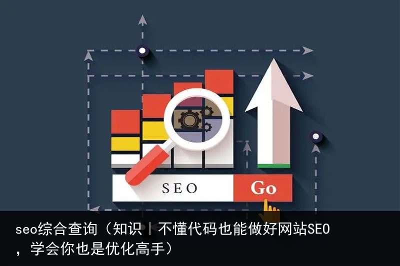 seo综合查询（知识｜不懂代码也能做好网站SEO，学会你也是优化高手）(图3)