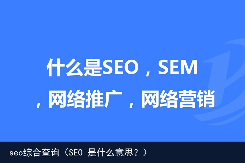 seo综合查询（SEO 是什么意思？）(图5)