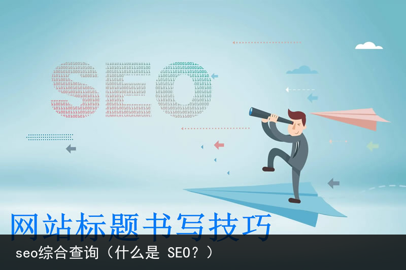 seo综合查询（什么是 SEO？）(图5)