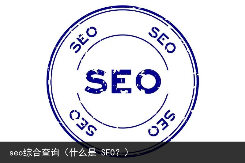seo综合查询（什么是 SEO？）(图6)