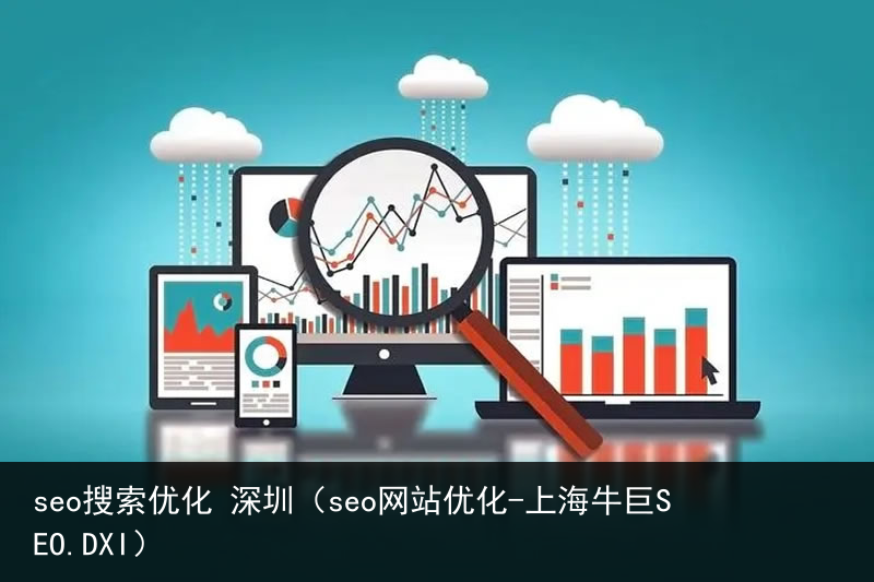 seo搜索优化 深圳（seo网站优化-上海牛巨SEO.DXI）(图3)
