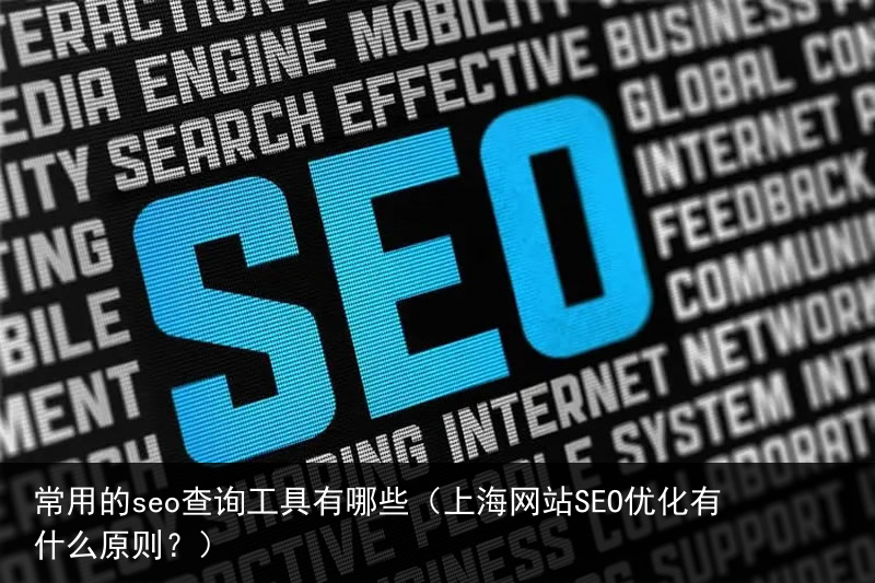 常用的seo查询工具有哪些（上海网站SEO优化有什么原则？）(图3)