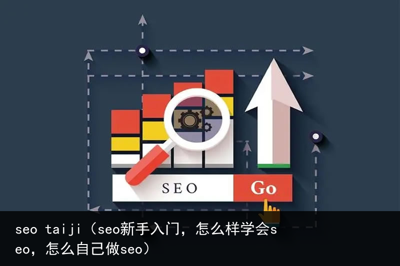seo taiji（seo新手入门，怎么样学会seo，怎么自己做seo）(图3)