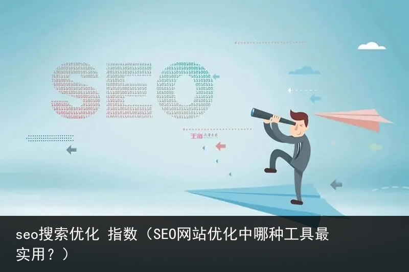seo搜索优化 指数（SEO网站优化中哪种工具最实用？）(图1)