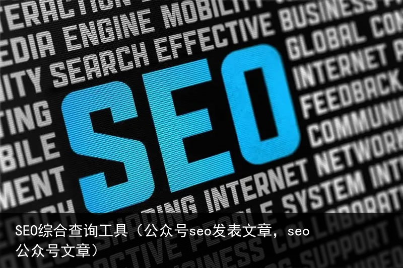 SEO综合查询工具（公众号seo发表文章，seo公众号文章）(图4)
