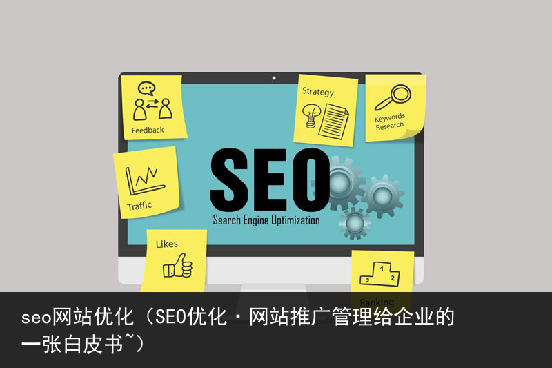 seo网站优化（SEO优化·网站推广管理给企业的一张白皮书~）(图1)