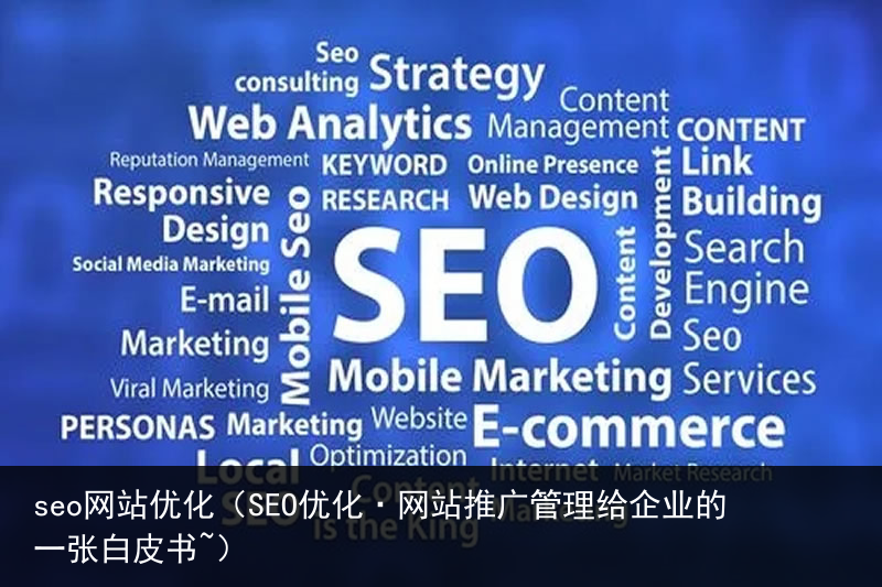seo网站优化（SEO优化·网站推广管理给企业的一张白皮书~）(图2)