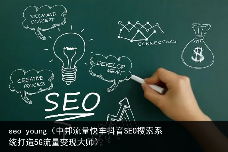 seo young（中邦流量快车抖音SEO搜索系统打造5G流量变现大师）(图2)