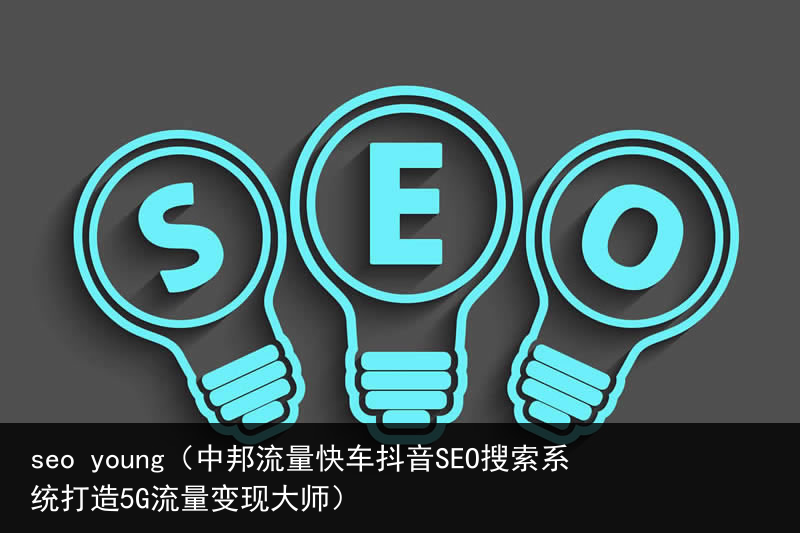 seo young（中邦流量快车抖音SEO搜索系统打造5G流量变现大师）(图3)