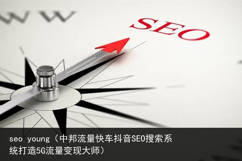 seo young（中邦流量快车抖音SEO搜索系统打造5G流量变现大师）(图5)